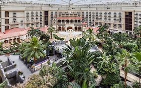 Gaylord Palms Hotel Kissimmee Fl